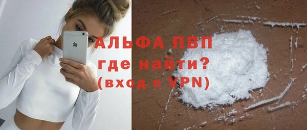 шишки Верея