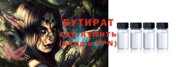шишки Верея