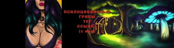 шишки Верея