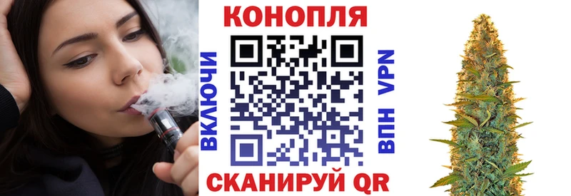 Бошки Шишки VHQ  купить наркотики сайты  Петропавловск-Камчатский 